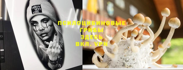 ешки Белокуриха