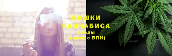 ешки Белокуриха