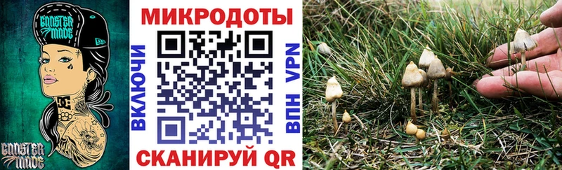 Псилоцибиновые грибы ЛСД Великий Устюг