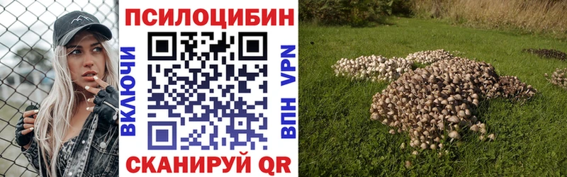 Галлюциногенные грибы Psilocybine cubensis  гидра ССЫЛКА  Великий Устюг 